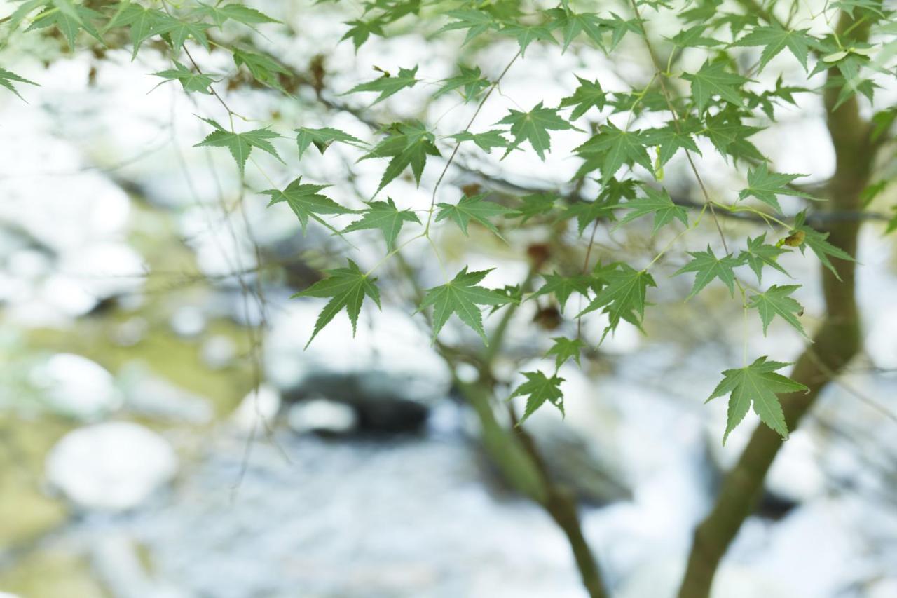 Fudoguchikan อิซุมิซาโนะ ภายนอก รูปภาพ